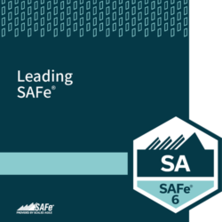 safe-6-course-SA
