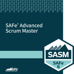 safe-6-course-SASM_AvH