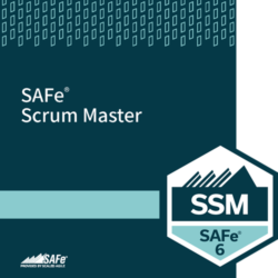 safe-6-course-SSM